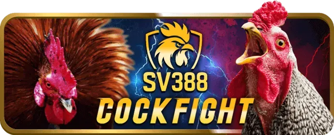 Đội ngũ chuyên gia của AV88 App